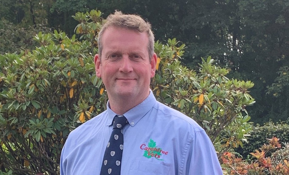 David McCrea