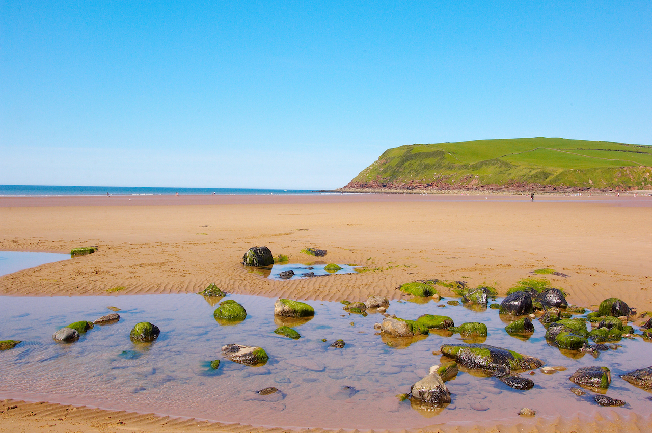 st bees Photo Brian Sherwen