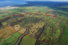 Derwent Forest aerial view
