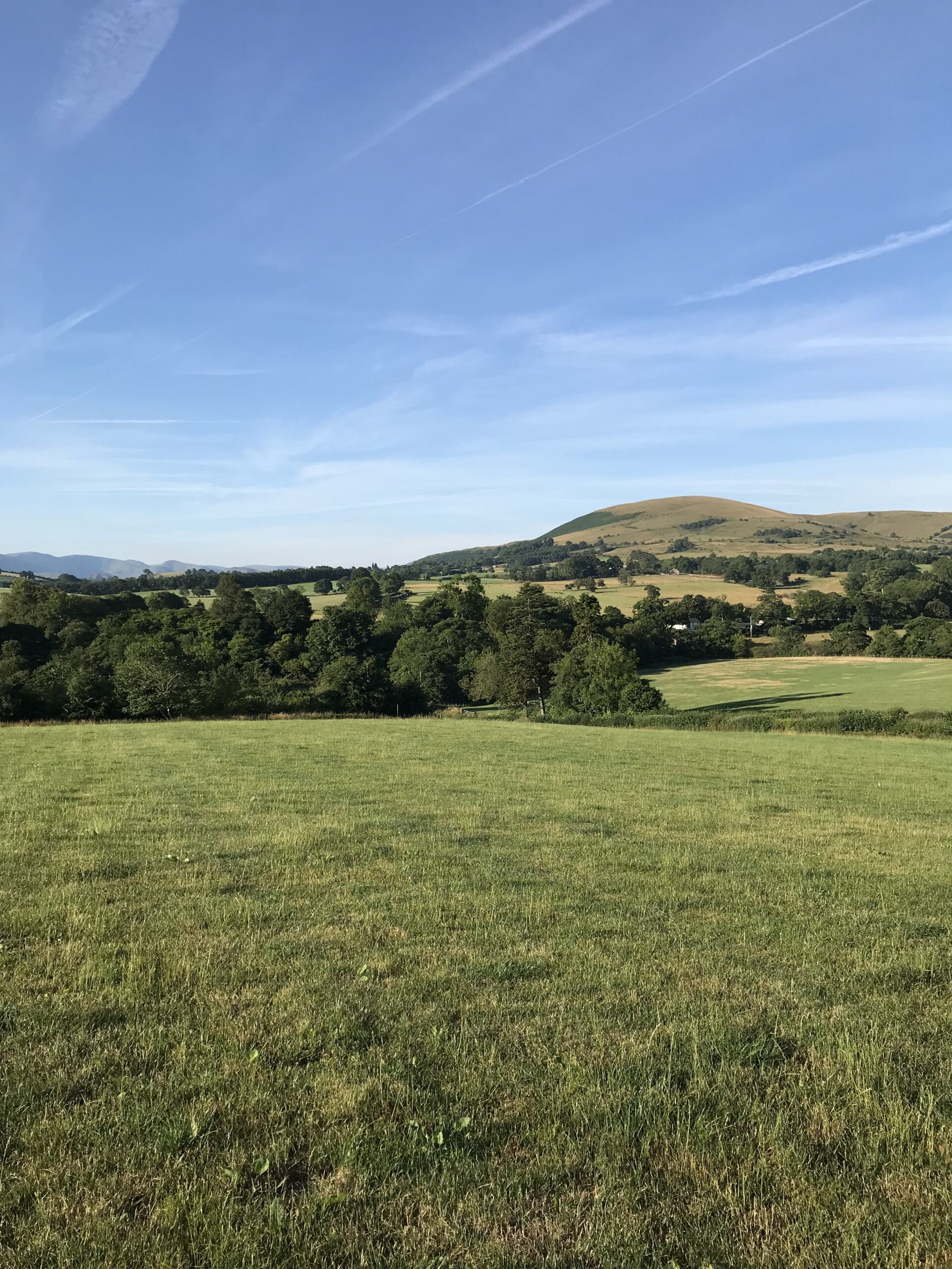 Hutton John Estate