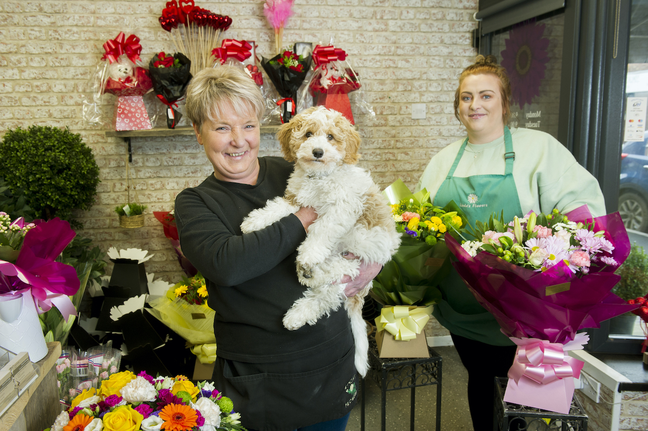 Owner Linda Purdy with her puppy 18- week-old Cavapoochon George and florist Stacey Osgood, at Linda's Florist, Denton Street, Denton Holme, Carlisle. JENNY WOOLGAR PHOTOGRAPHY