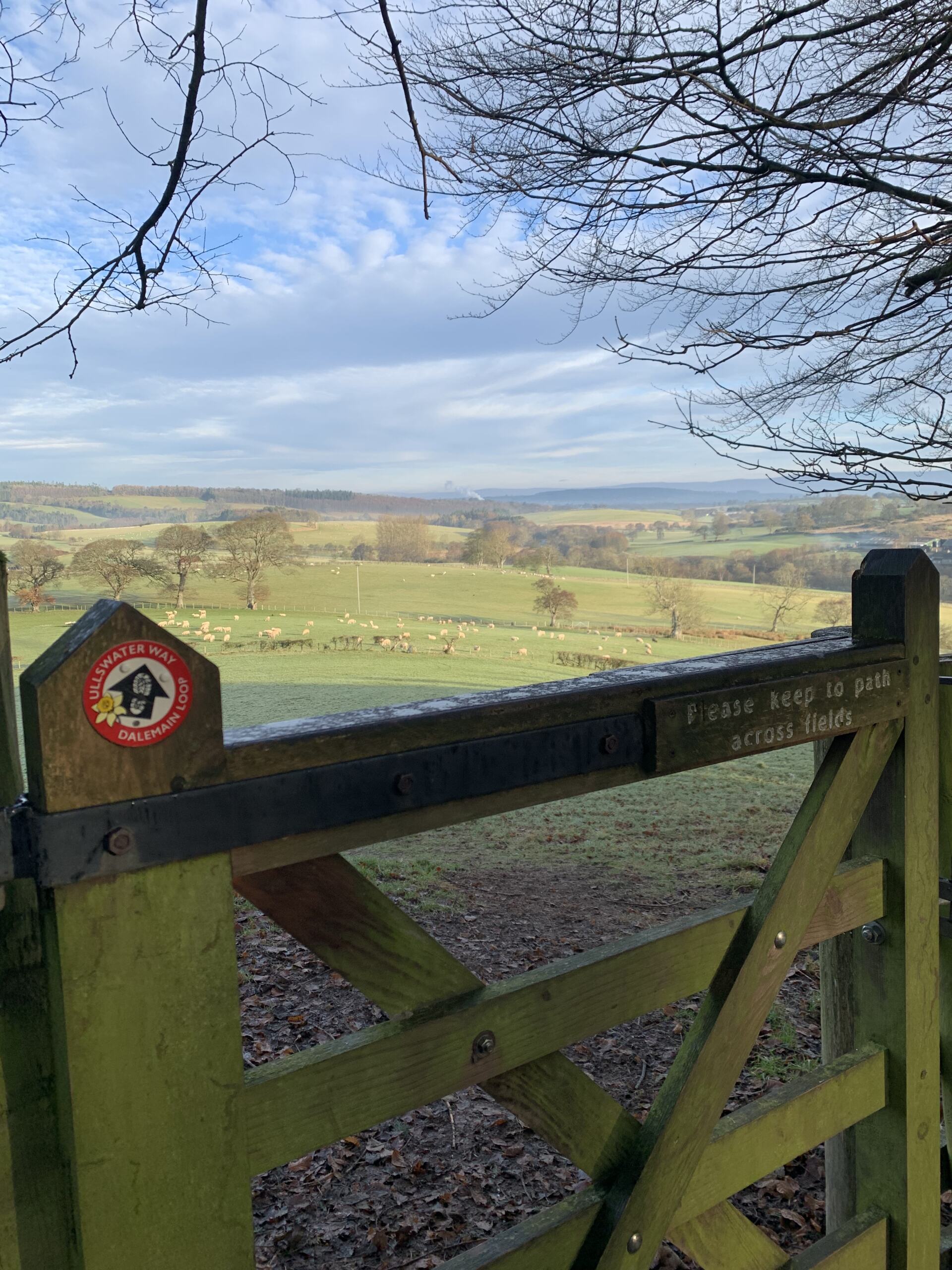 View from Dunmallard