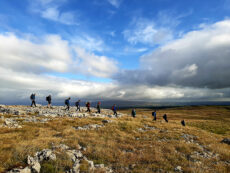 A Walking for health in the Westmorland Dales
