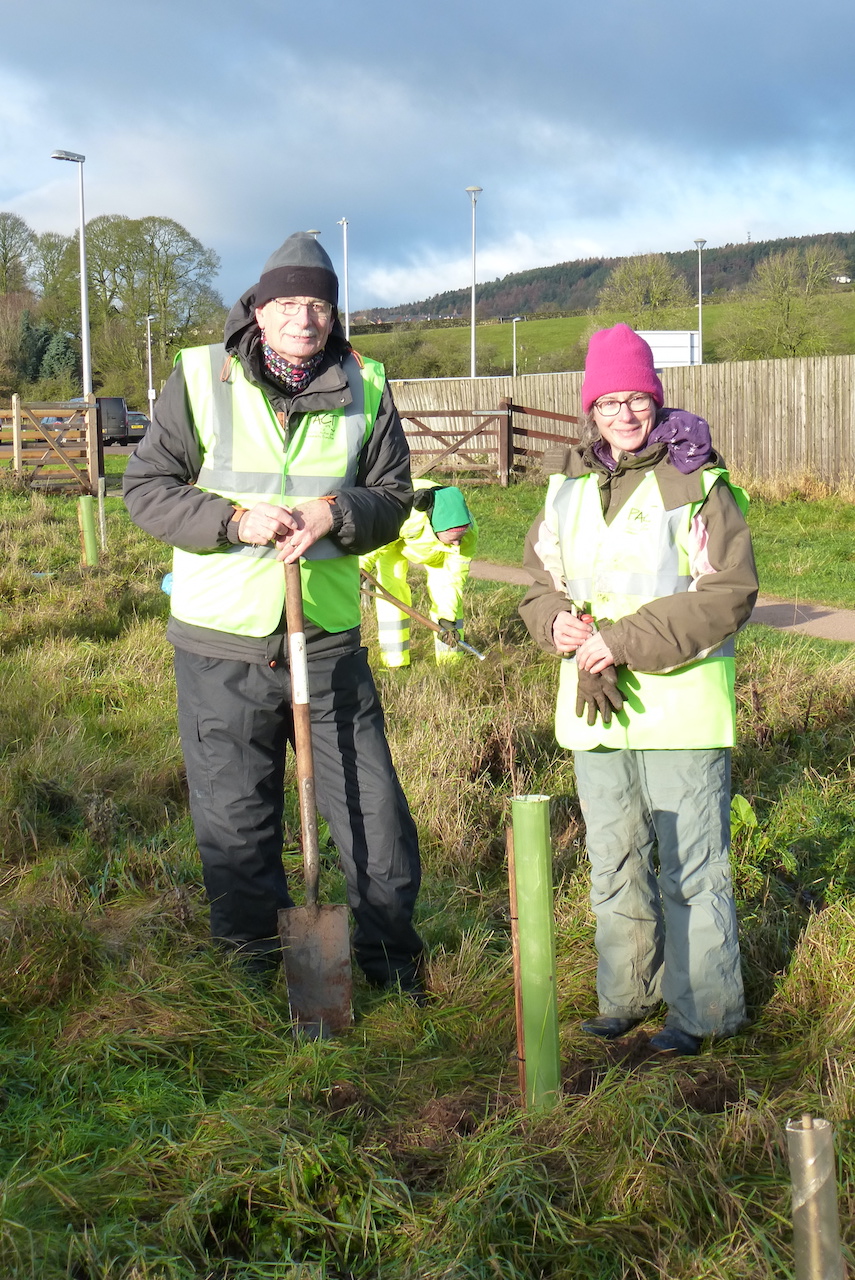 CAfs tree planting