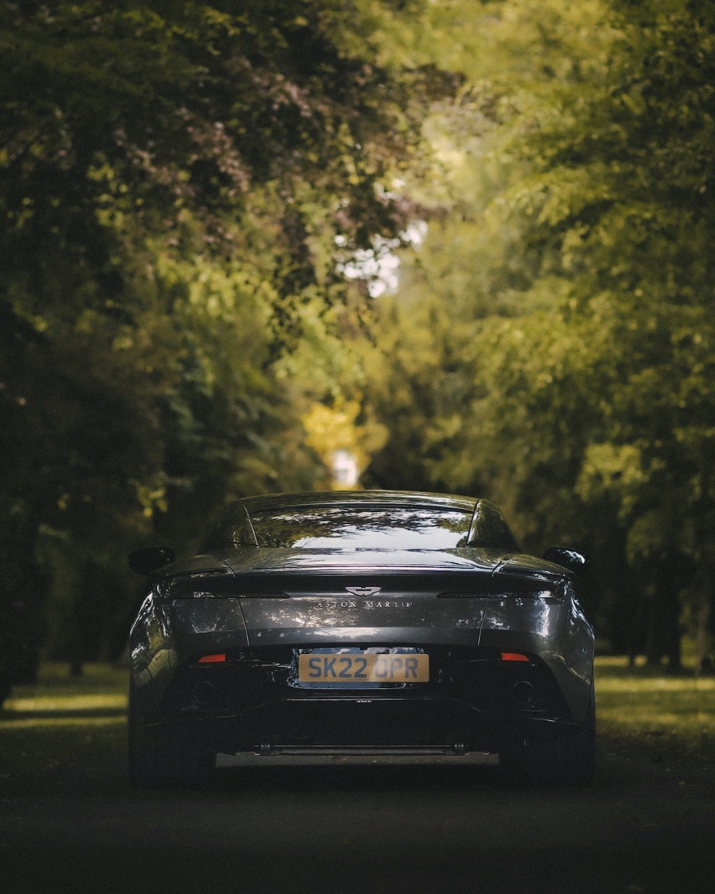 The Aston Martin DB11 which will be among the cars featured at the Netherby Hall Car Show over the weekend of August 6 and 7