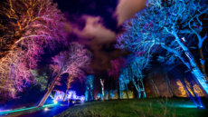 Workington Hall Sound and Light events