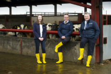 Armstrong Watson L-R-Abigail Graham, David Threlkeld and Andrew Robinson Photo by JENNY WOOLGAR PHOTOGRAPHY