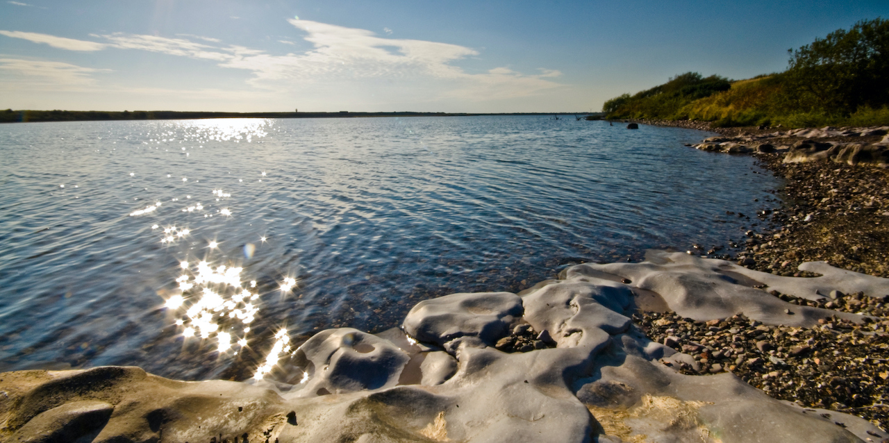 RSPB Hodbarrow Nature Reserve, Millom