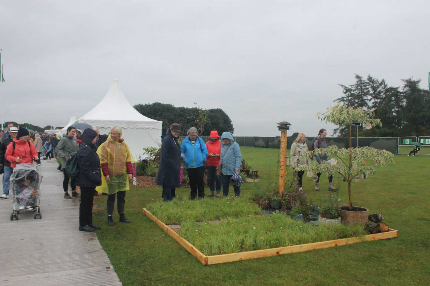 Cumbria in Bloom's garden at RHS Tatton Park Flower Show 2023