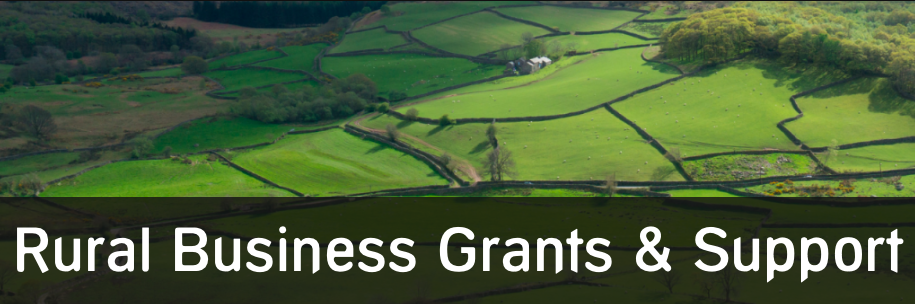 Rural Business Grants & Support