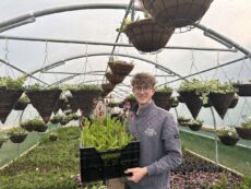 Dan Stearne of Dan's Plants in the Polytunnel at Low Sizergh