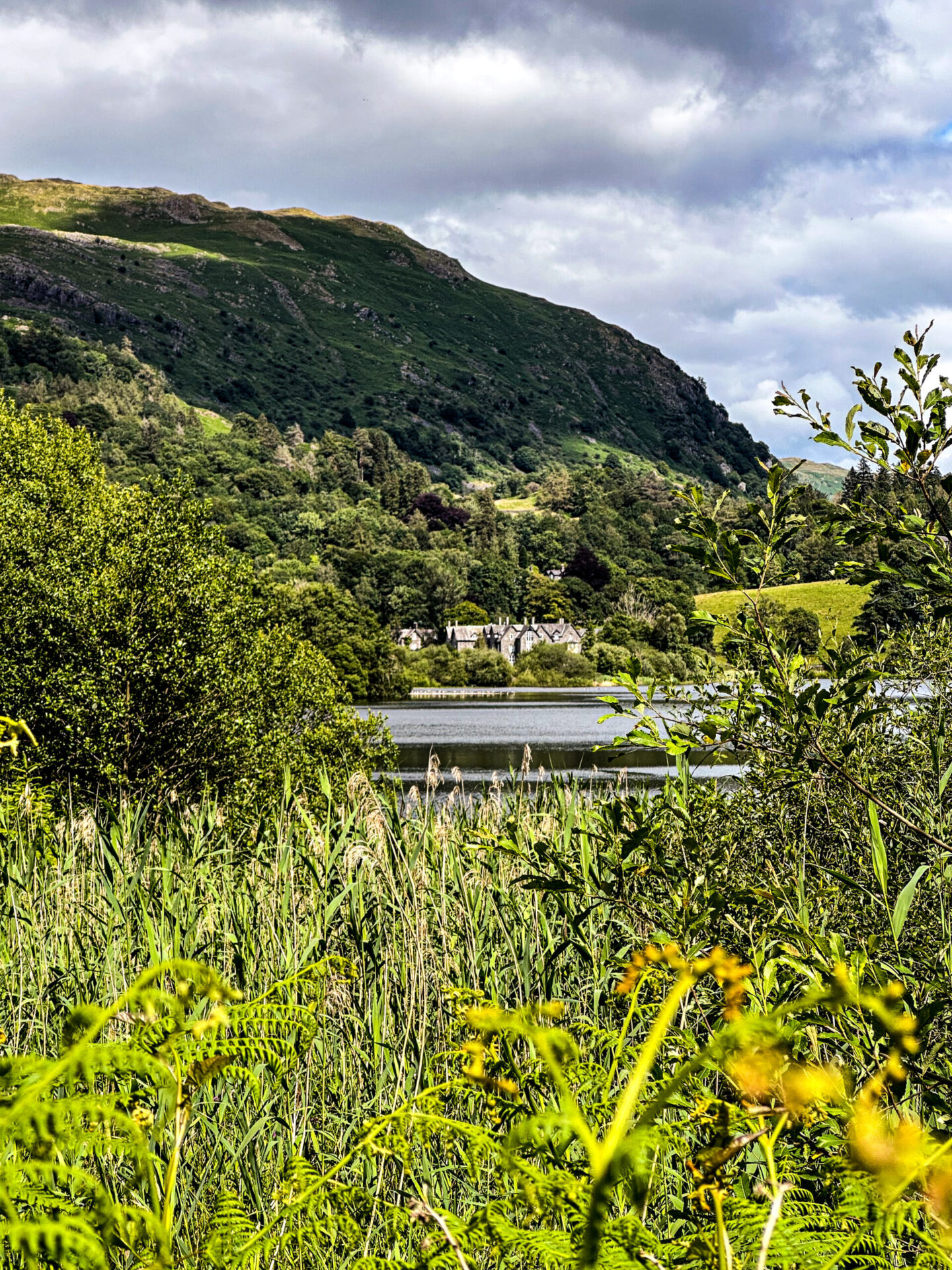 View of The Daffodil  from across the Lake