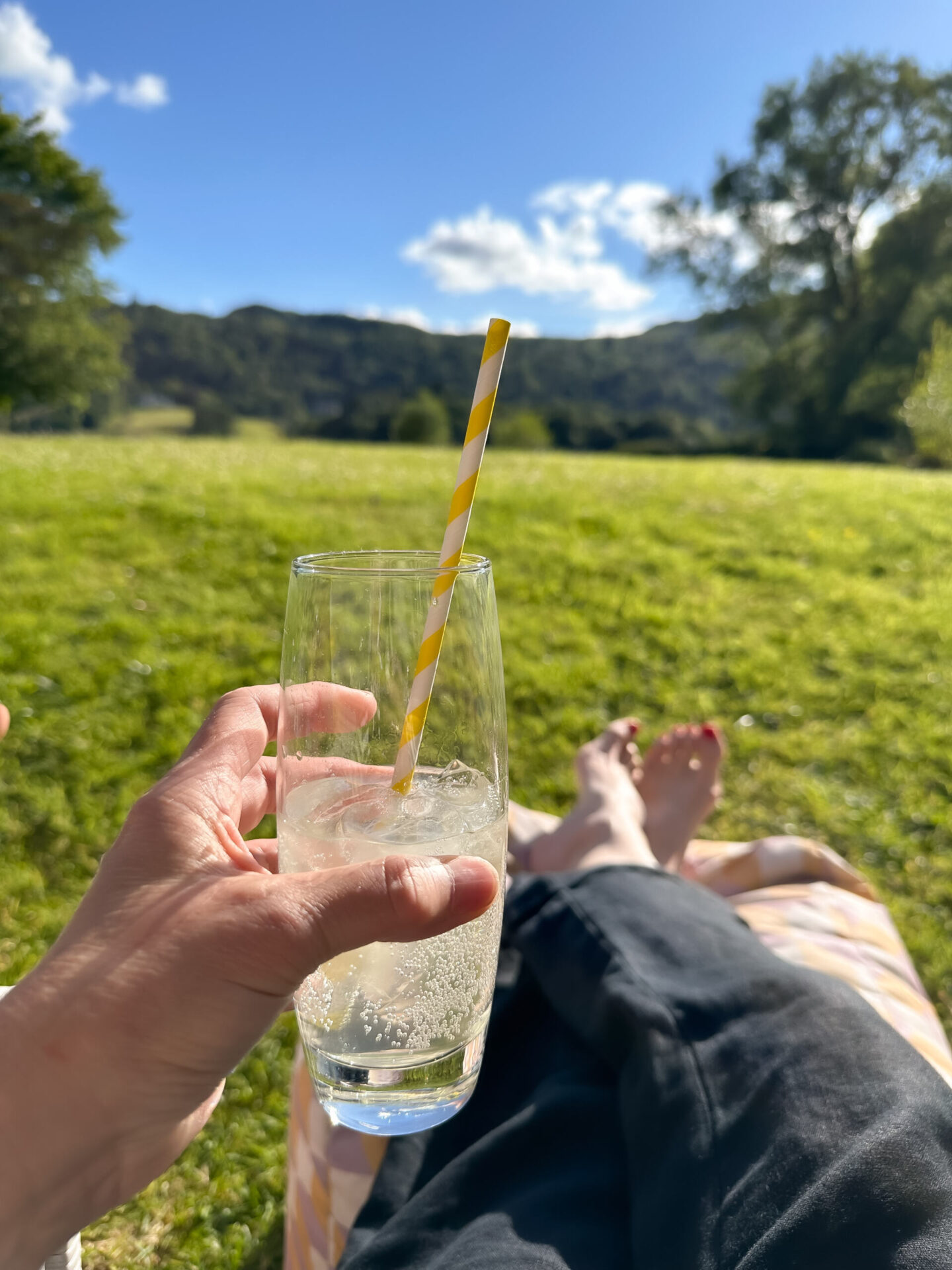 Relaxing in the Daffodil Gardens with fell views