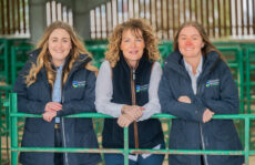 Emilie Handley, Amanda Wallbank and Victoria Twentyman from H&H Insurance Brokers at Kirkby Stephen Mart