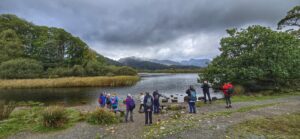 Elterwater Wellness Walk