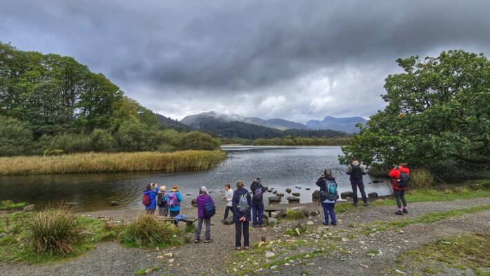 Elterwater Wellness Walk